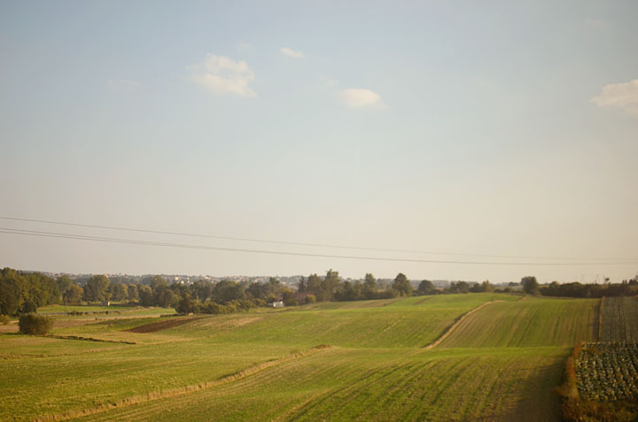 DSC_8858