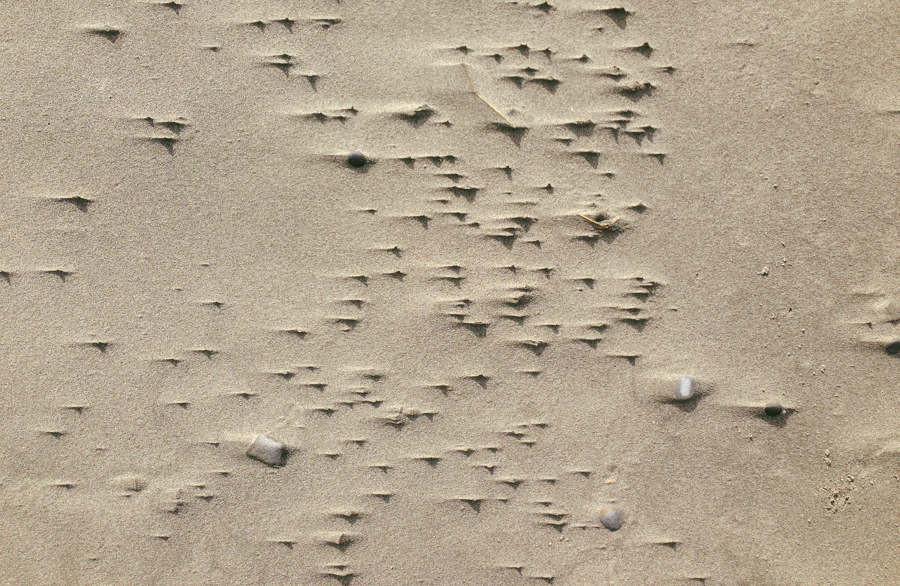 photo-10