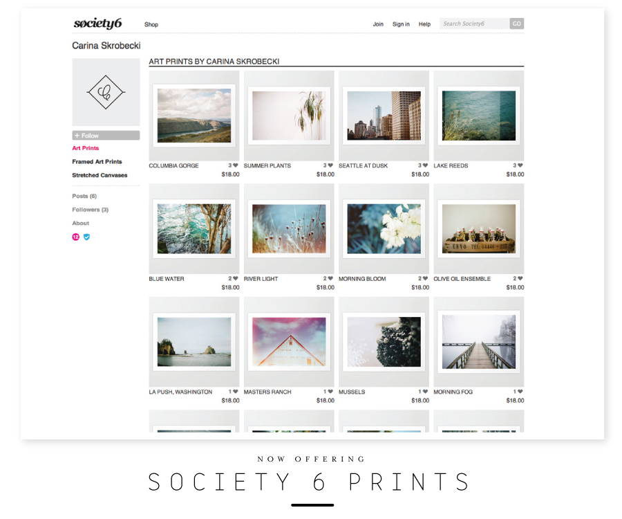 Soceity6Prints_CarinaSkrobecki