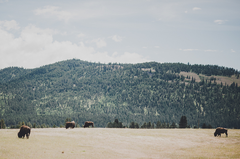 CASPhoto_BrittneyBilly-23