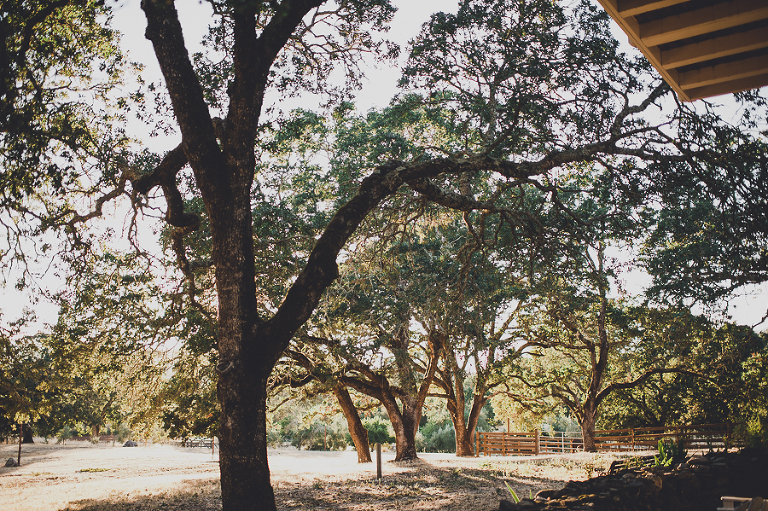 CASPhoto_SummerAdventures_Blog-105