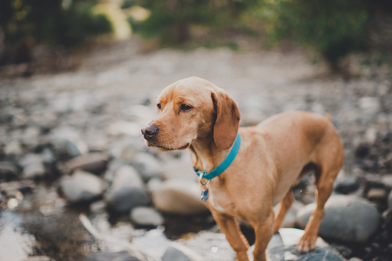 CASPhoto_SummerAdventures_Blog-39