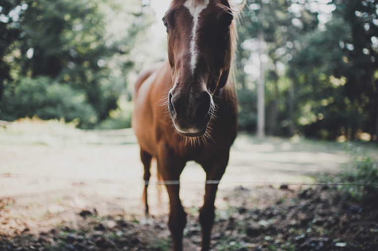 CASPhoto_SonyaLaneBlog-112