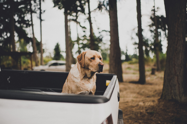 CASPhoto_SonyaLaneBlog-31