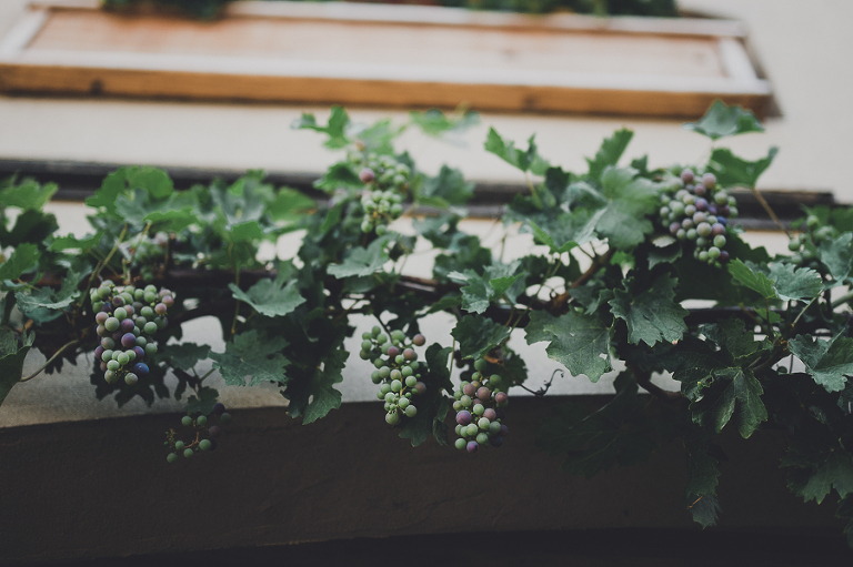 CASPhoto_MartaSean_DelilleCellars0010