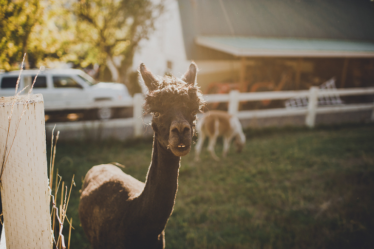 CASPhoto_MartaSean_DelilleCellars0084