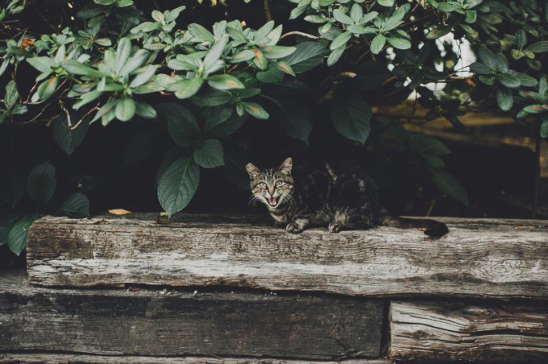 CASPhoto_MartaSean_DelilleCellars0100