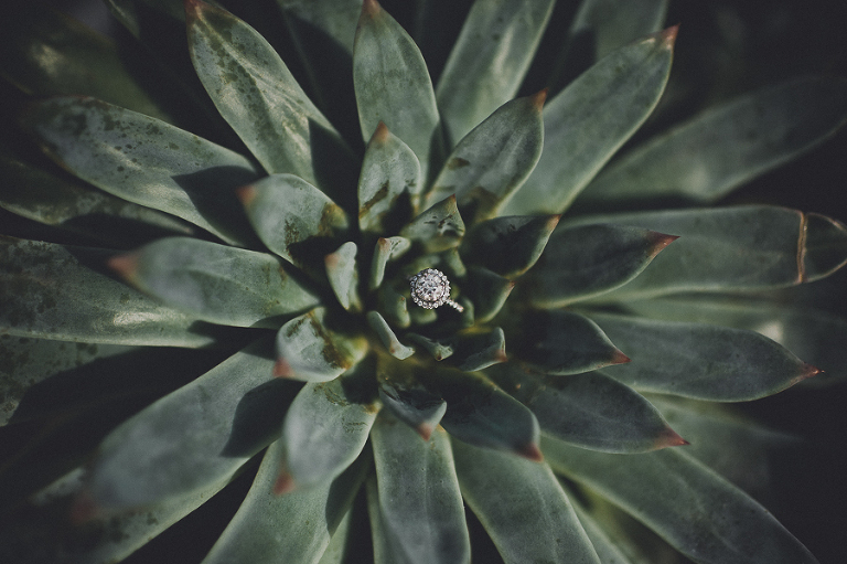 CASPhoto_Bestof2014Photos-110