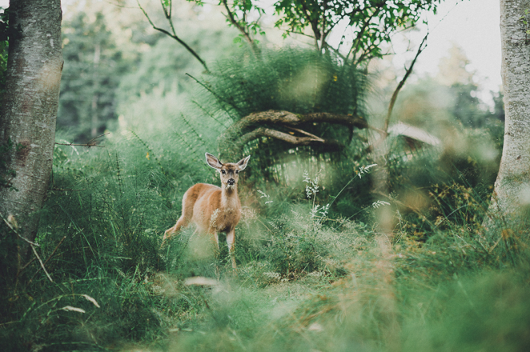 CASPhoto_Bestof2014Photos-26