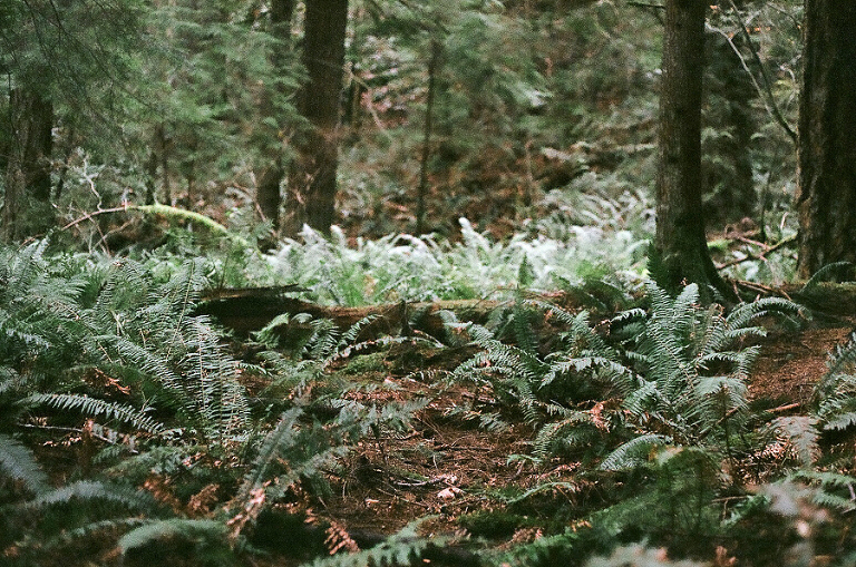 CASPhoto_Bestof2014Photos-27