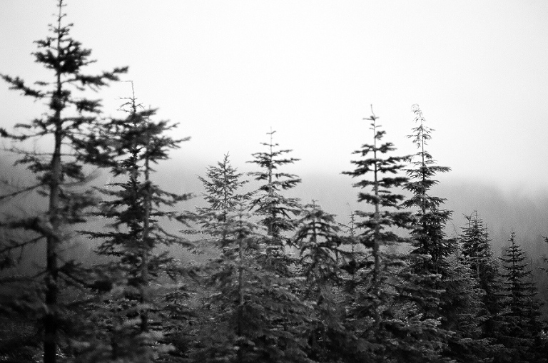 CASPhoto_Bestof2014Photos-32