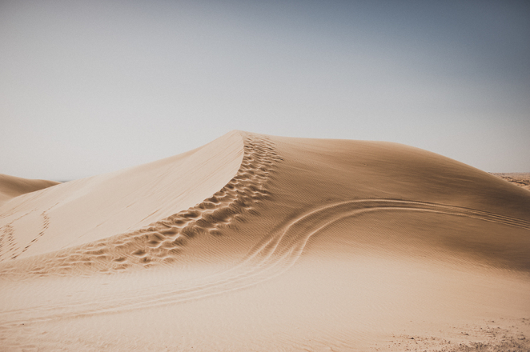 CASPhoto_Bestof2014Photos-42