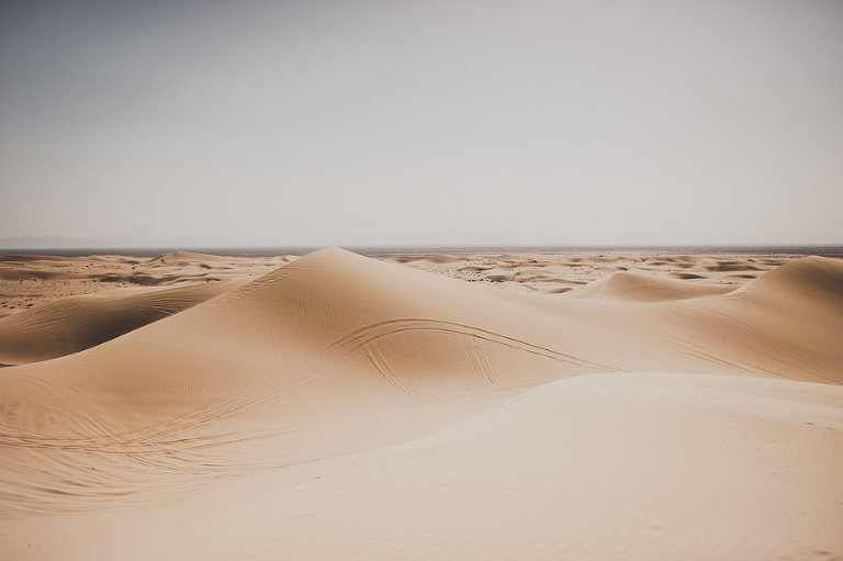 CASPhoto_Bestof2014Photos-43