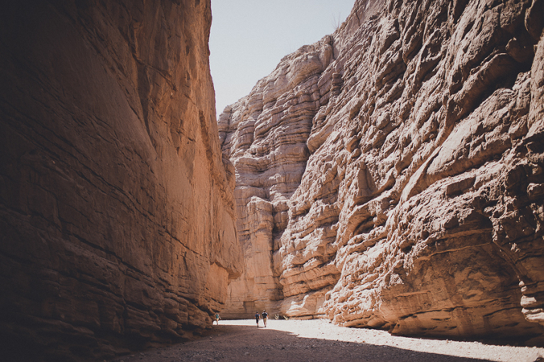 CASPhoto_Bestof2014Photos-44