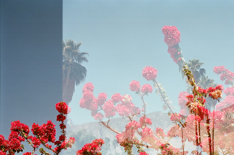 CASPhoto_Bestof2014Photos-45