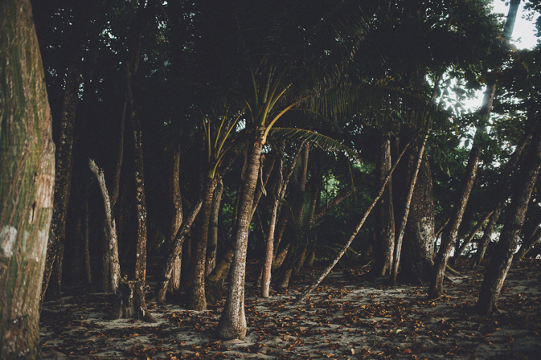 CASPhoto_Bestof2014Photos-5