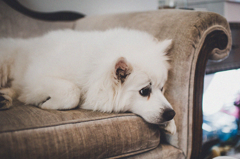 CASPhoto_DaveMallory_Blog-8