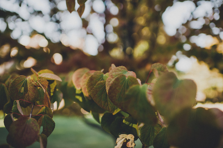 CASPhoto_MeganRick006