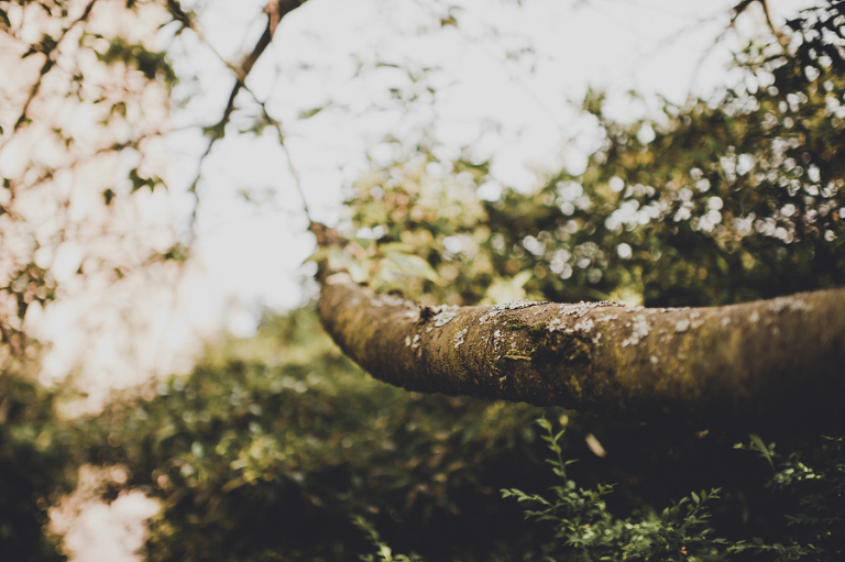 CASPhoto_WesColin_Blog-4