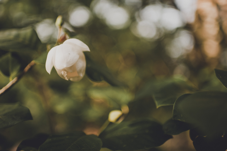 CASPhoto_WesColin_Blog-5