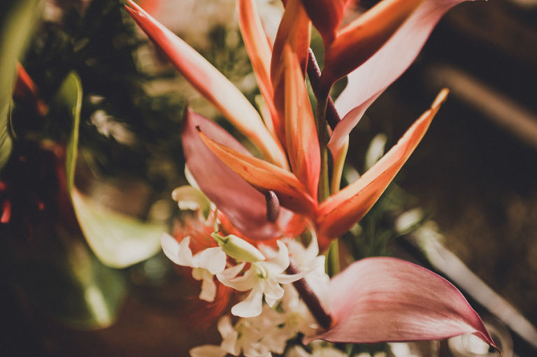 CarinaSkrobeckiPhotogrpahy_Ryan&Marla008