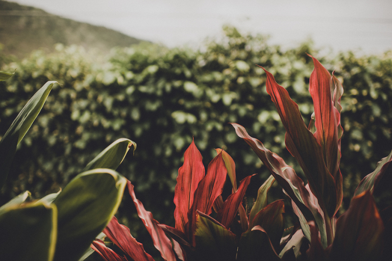 CarinaSkrobeckiPhotogrpahy_Ryan&Marla010