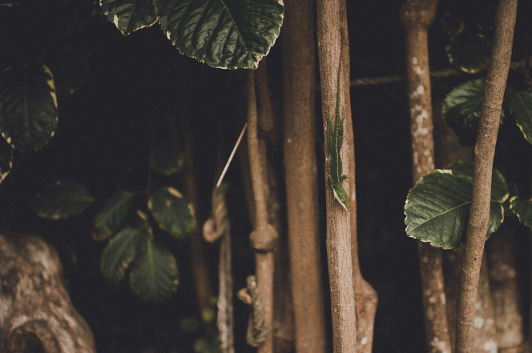 CarinaSkrobeckiPhotogrpahy_Ryan&Marla065