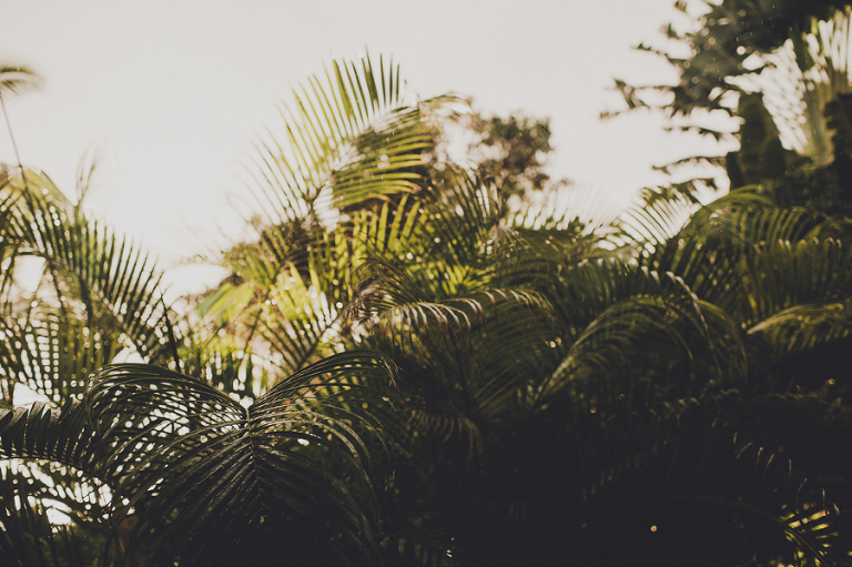 CarinaSkrobeckiPhotogrpahy_Ryan&Marla089