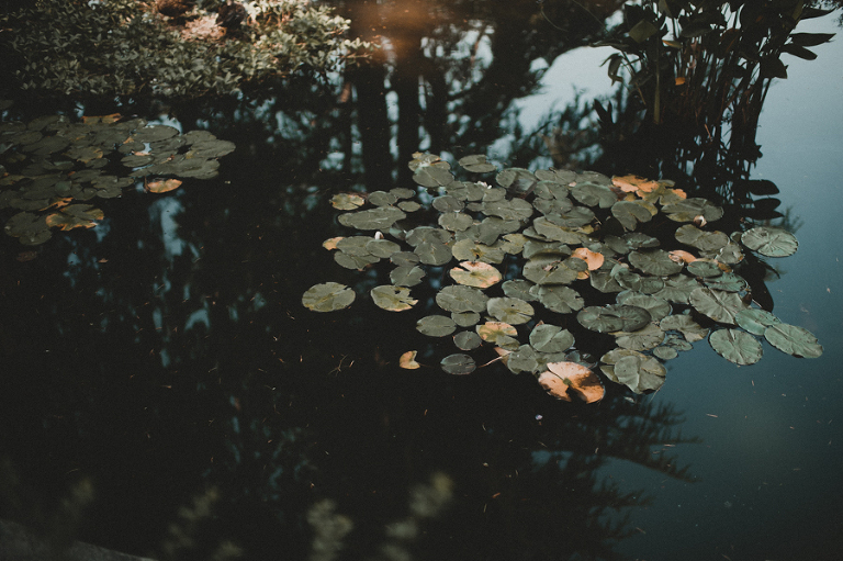 CarinaSkrobeckiPhoto_Susanna&Andrew_WoodinvilleLavenderFarm052