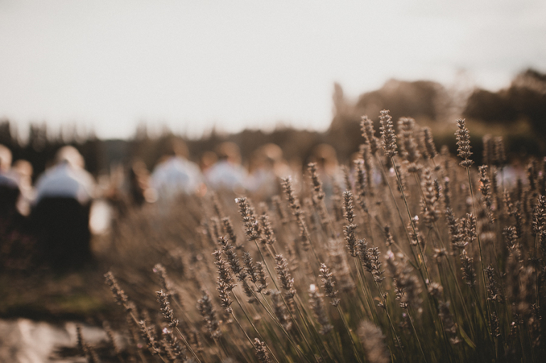 CarinaSkrobeckiPhoto_Susanna&Andrew_WoodinvilleLavenderFarm125
