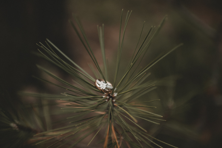 CarinaSkrobeckiPhotography_Hannah&Chris129