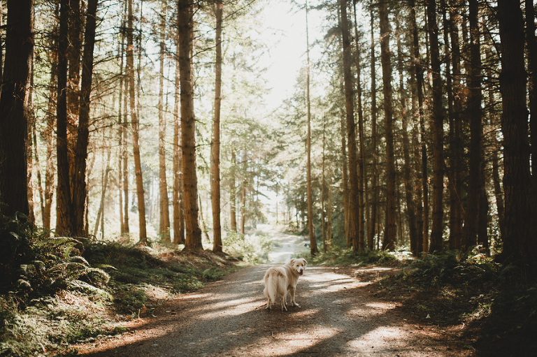 carinaskrobeckiphotography_bestof2016_independence02