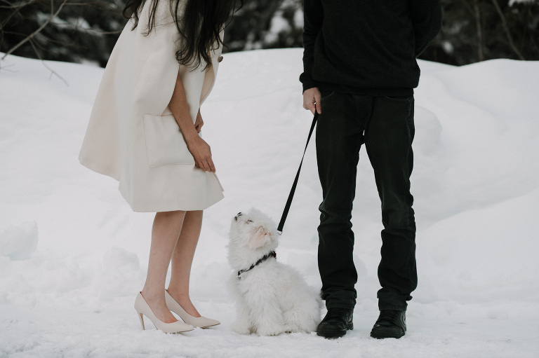 carinaskrobeckiphotography_bestof2016_puppies02