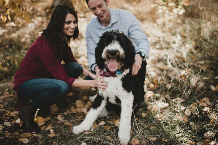 carinaskrobeckiphotography_bestof2016_puppies04