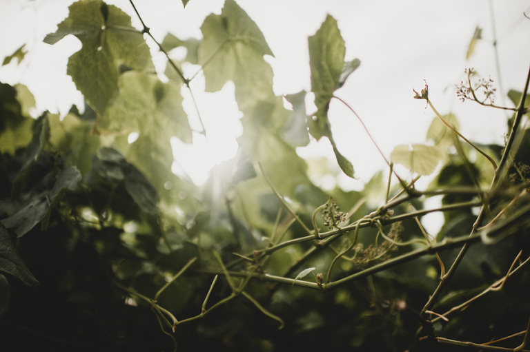 CarinaSkrobeckiPhotography_MinnieMarshall_blog-7