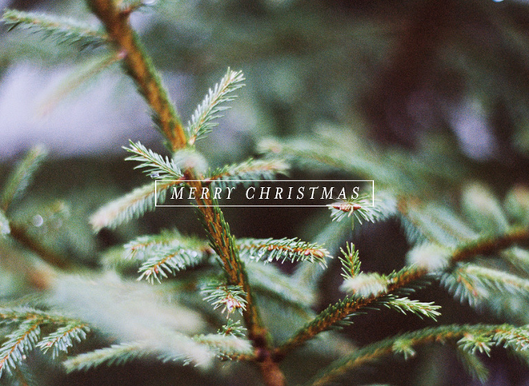 Happy Holidays » Carina Skrobecki